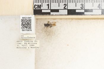 Media type: image;   Entomology 775876 Aspect: Labels